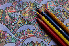 Photo of adult coloring page by Maxime De Ruyck