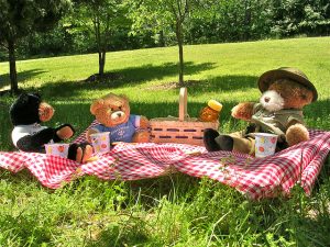 Photograph of teddy bears on a picnic