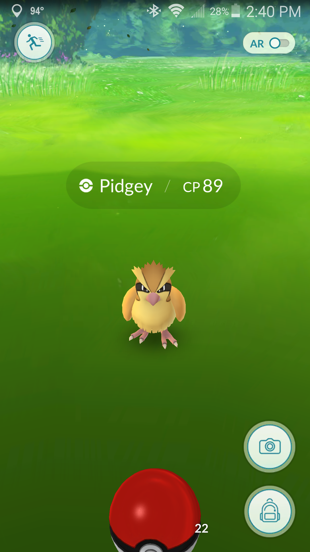Pidgey Pokemon
