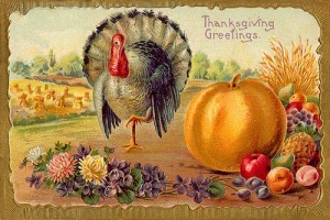 Thanksgiving Greetings Drawing