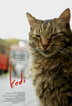 Kedi dvd cover