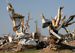 debris wrapped around tree from Tornado in Joplin MO