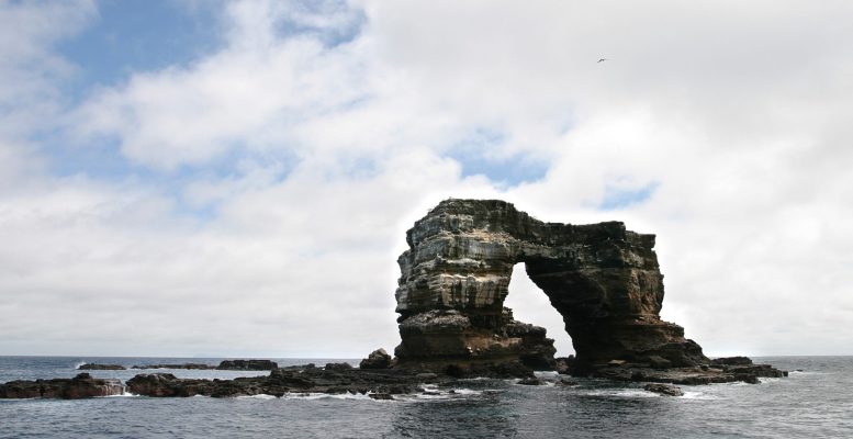 Virtual Vacation: The Galapagos Islands