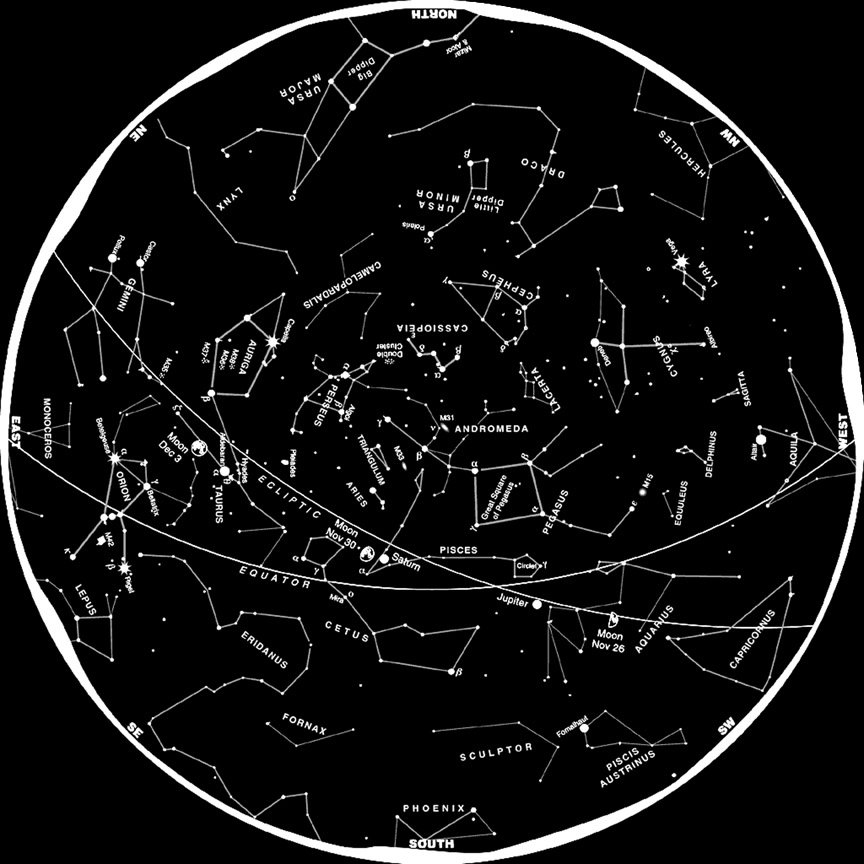 Look Up! Constellations in the Night Sky