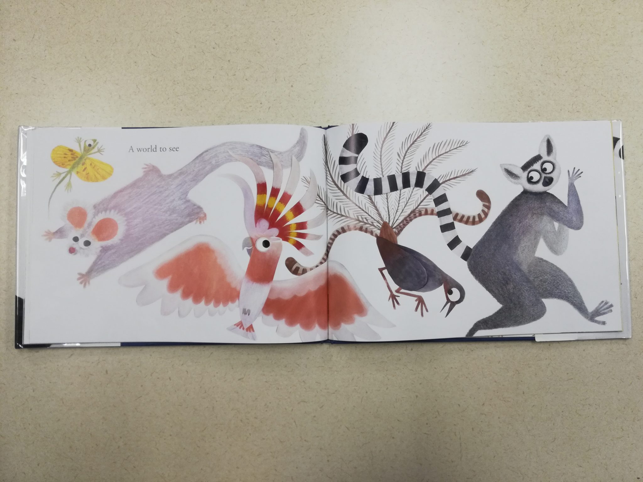 Animals leap off the pages in bright colors and patterns in Hello Hello.