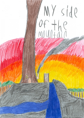 My Side of the Mountain book cover