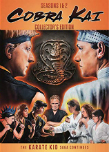 Cobra Kai DVD cover