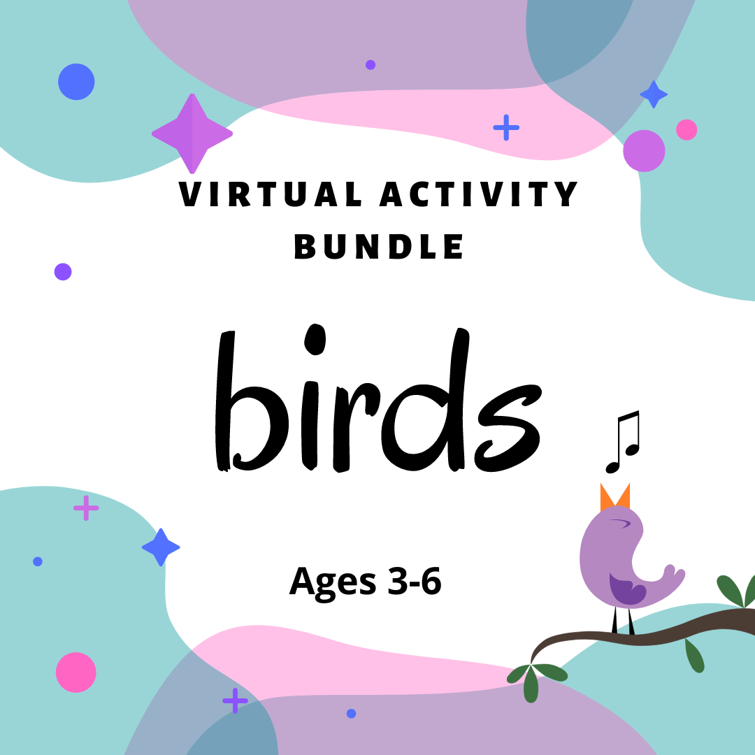 Virtual Activity Bundle: Birds