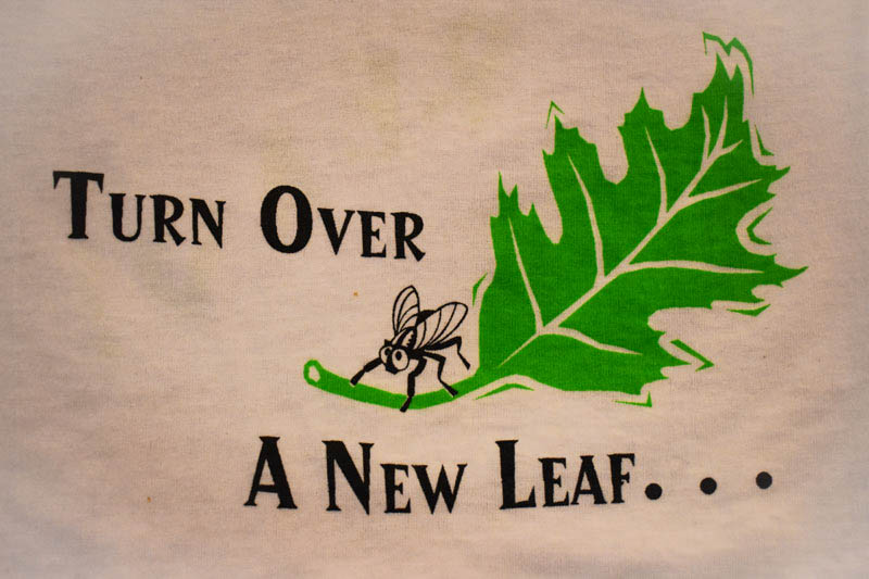 2000 - Turn Over a New Leaf