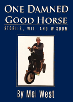 One Damned Good Horse book cover
