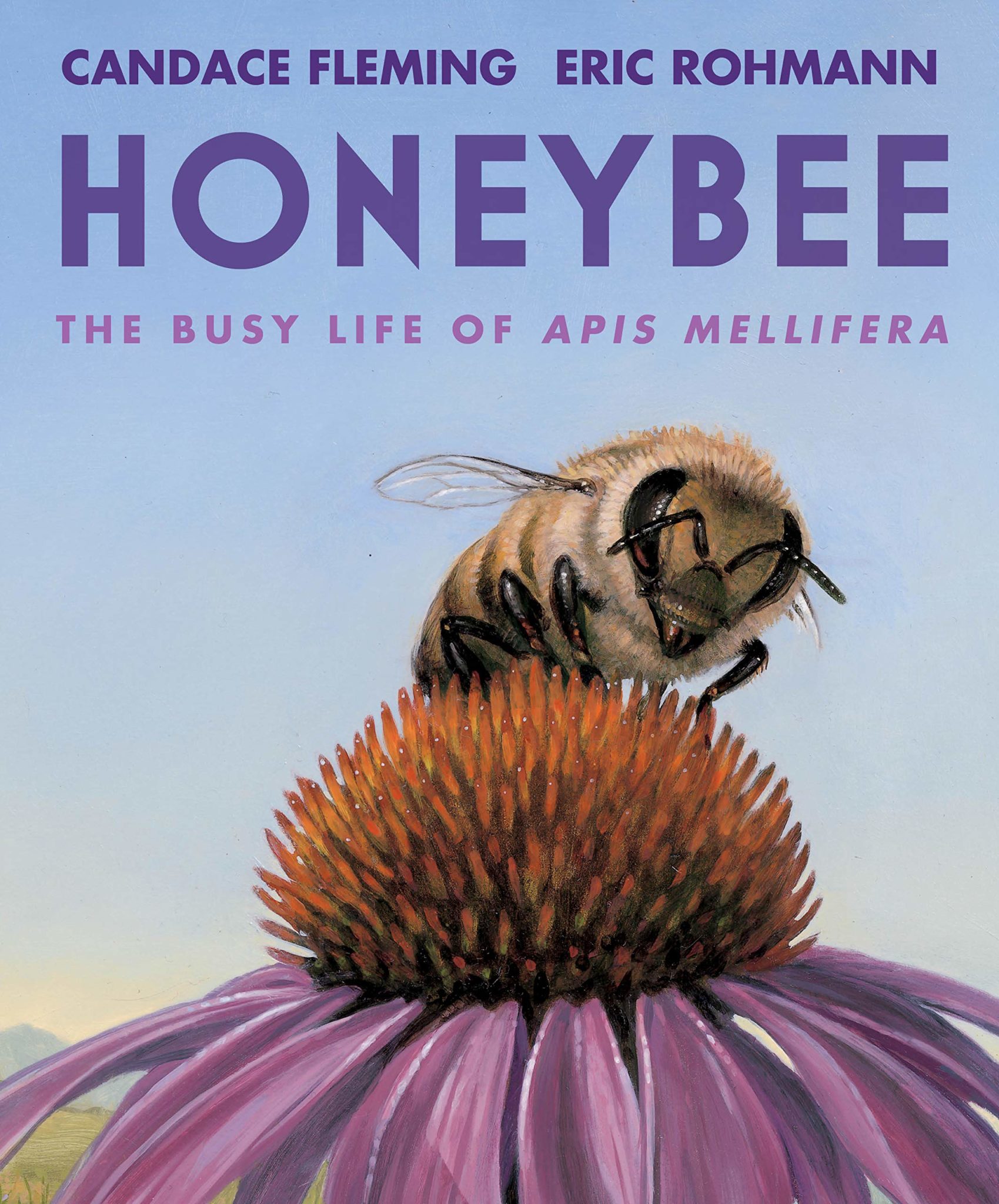 Honeybee, The Busy Life of Apis Mellifera