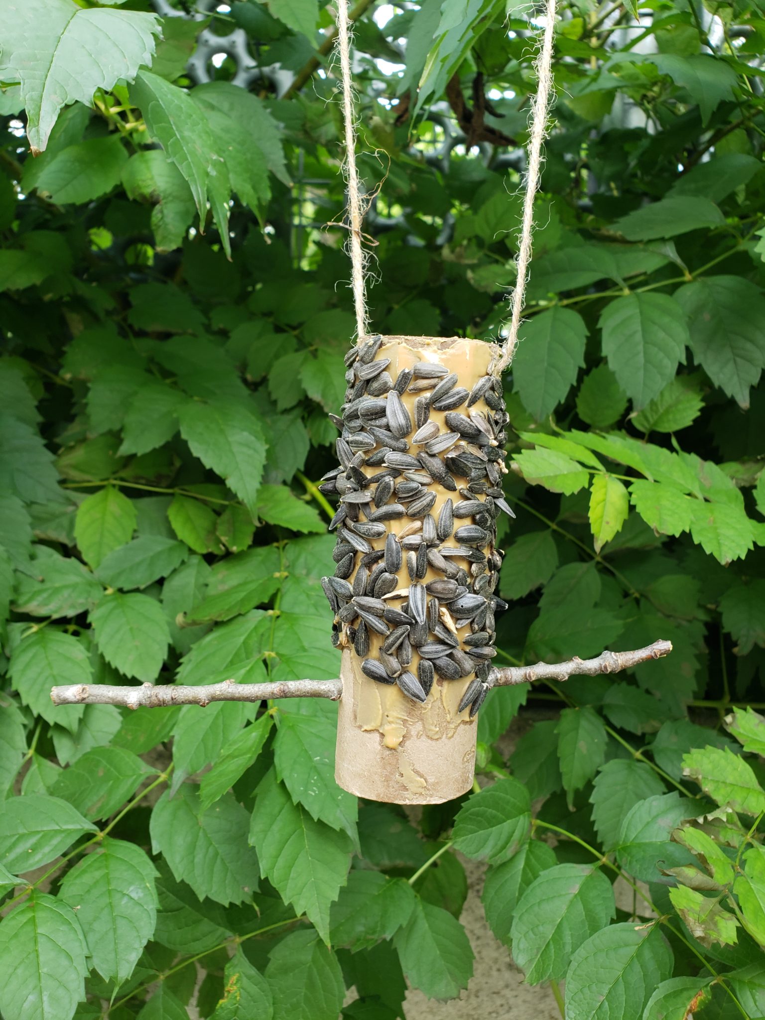 Cardboard bird feeder in nature