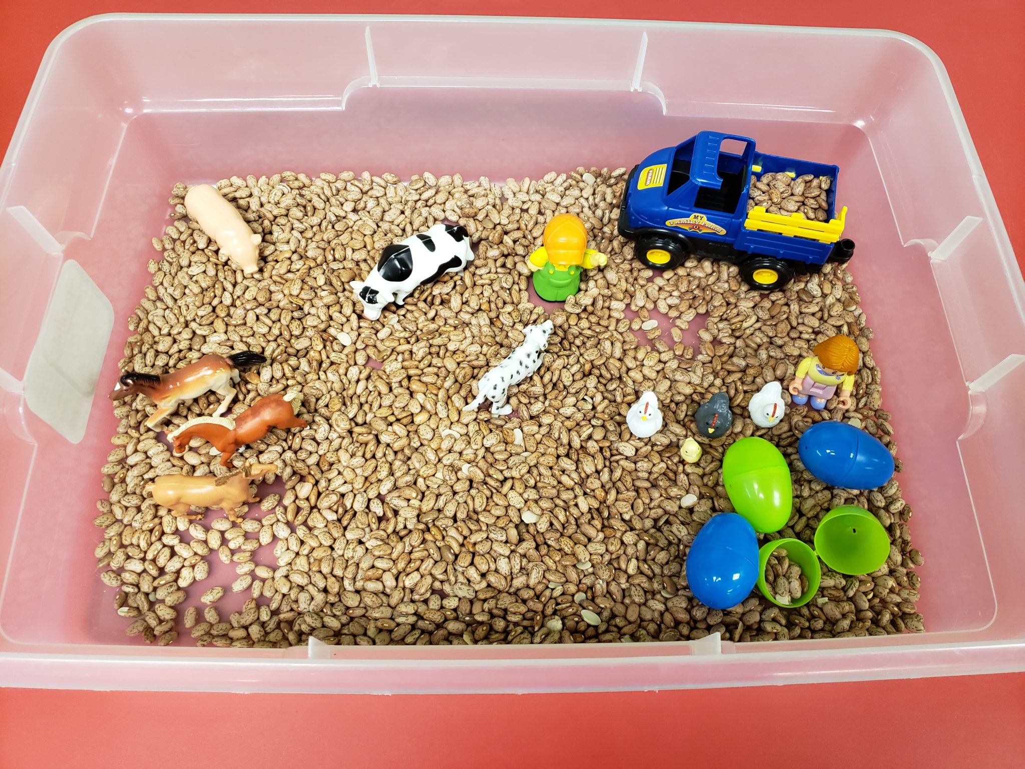 farm sensory bin