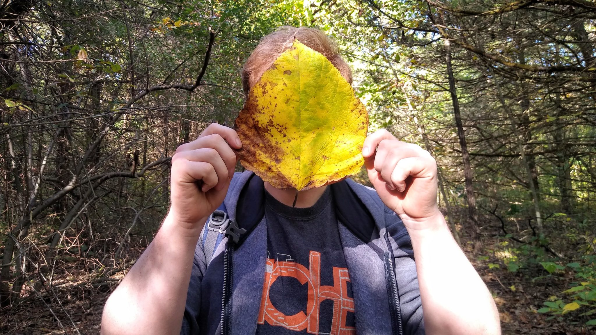 A man wearing a gray shirt and jacket stands in the woods. He is holding up a large yellow leaf, obscuring his face. 