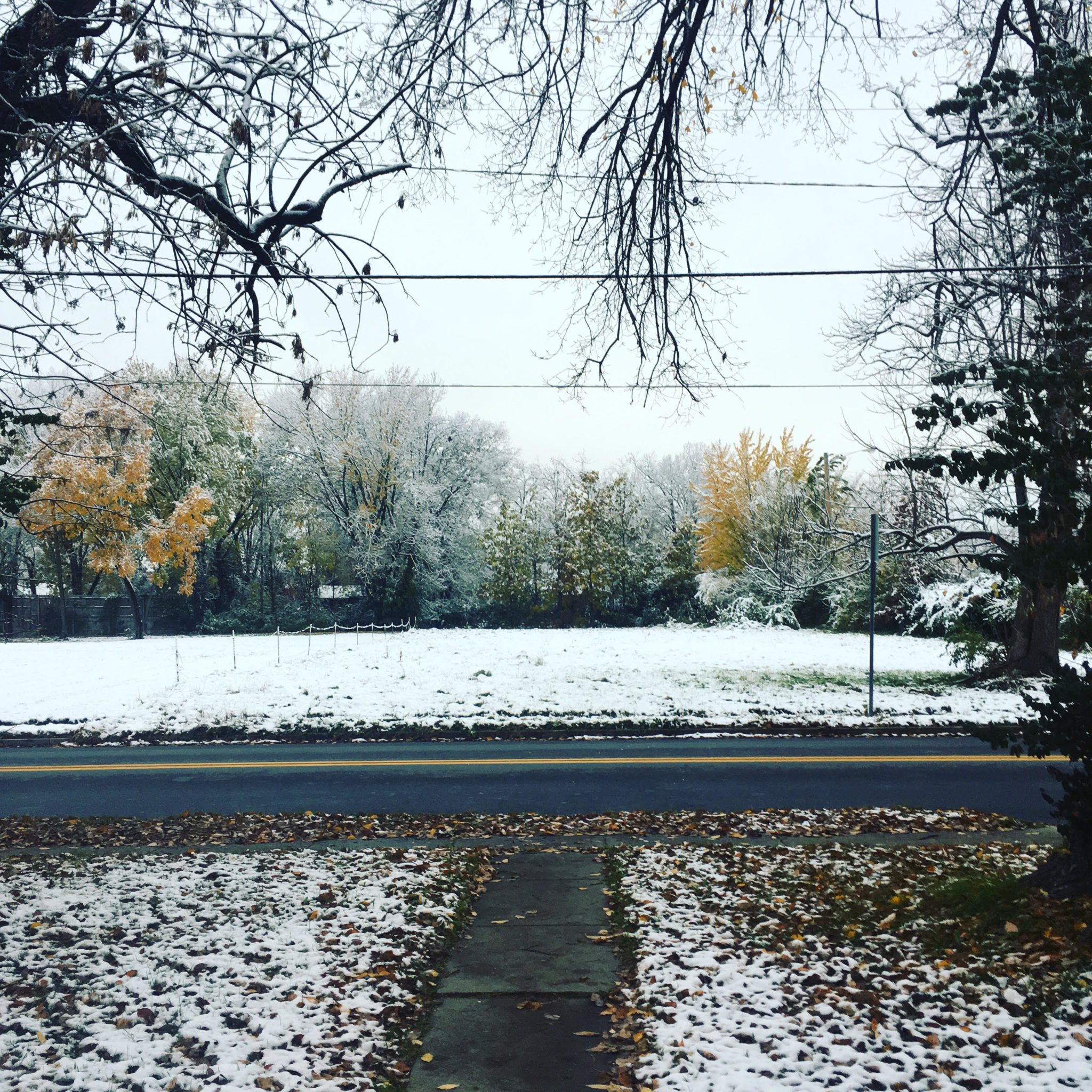 Photo of an empty field, a yellow and green treeline, road, and sidewalk in Columbia, MO, all dusted with snow.