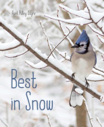 Best in Snow book cover