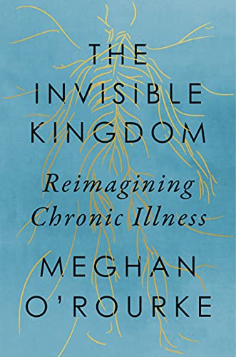 Invisible Kingdom book cover