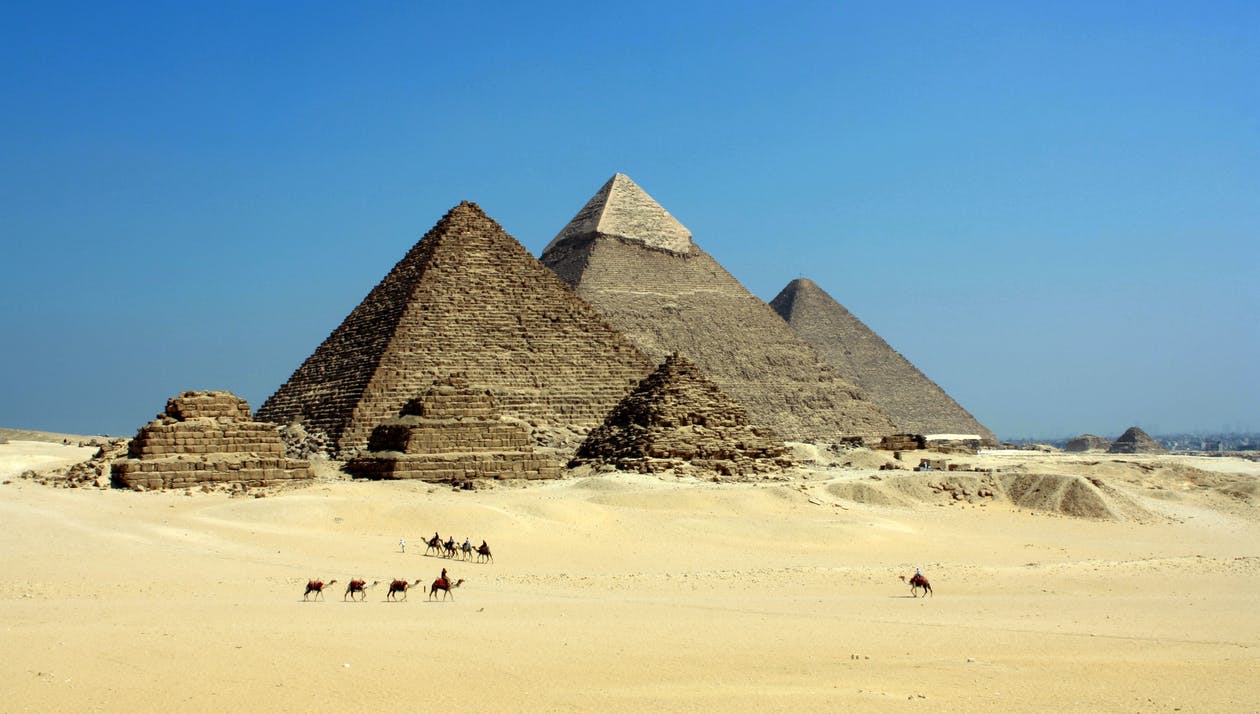 Photo of pyramids and camels in Egypt. 