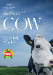Cow dvd cover