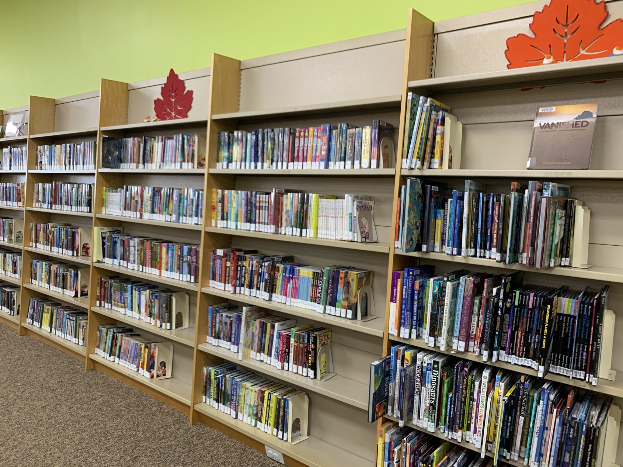Book stacks at Holts Summit Public Library