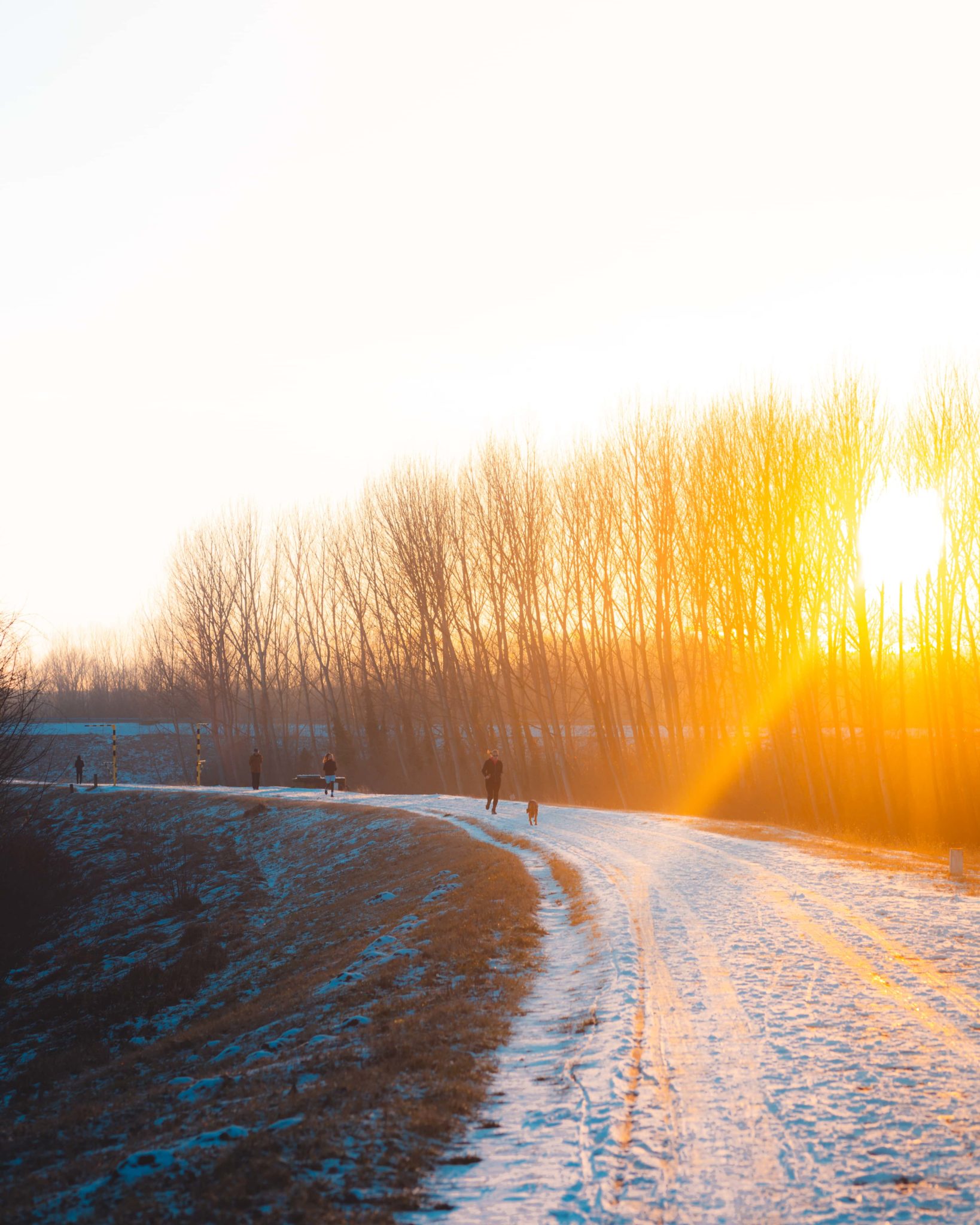 Four people jog and walk along a snowy rural path as the sun sets.