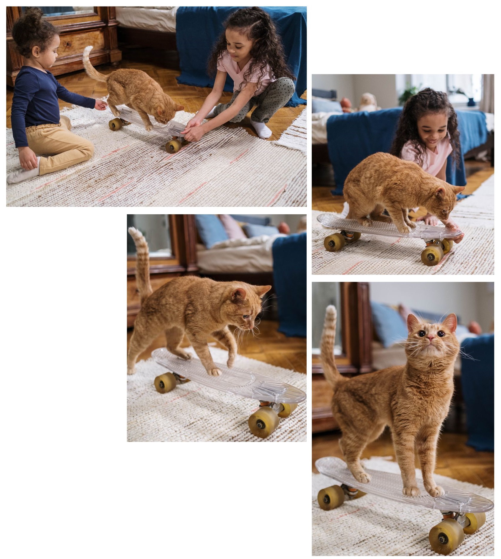 Four images depicting two children playing with an orange cat in their bedroom. Across the photos, the cat is perched in various positions on a small, clear skateboard with yellow wheels. In the final image, the cat stands steady on the skateboard and looks up at the camera in a pose of satisfaction.