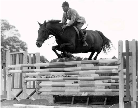 Black History Month: Equestrian Edition