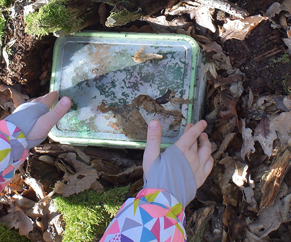 Explore Your World With Geocaching