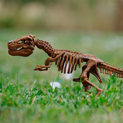 Dinosaur Camp