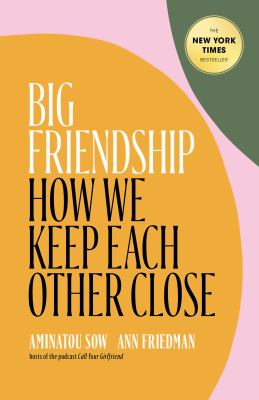 Big Friendship book cover