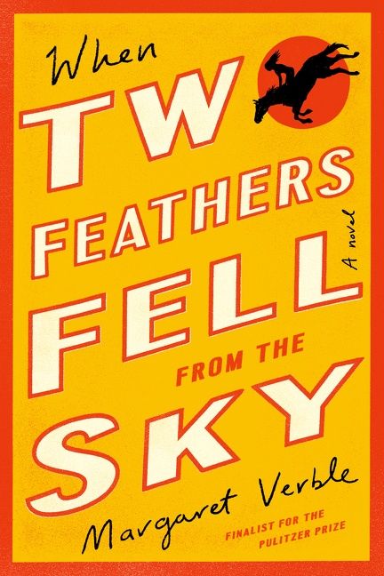 "When Two Feathers Fell From the Sky" book cover