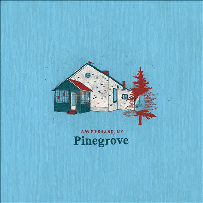 Album cover for Pinegrove "Amperland, NY"