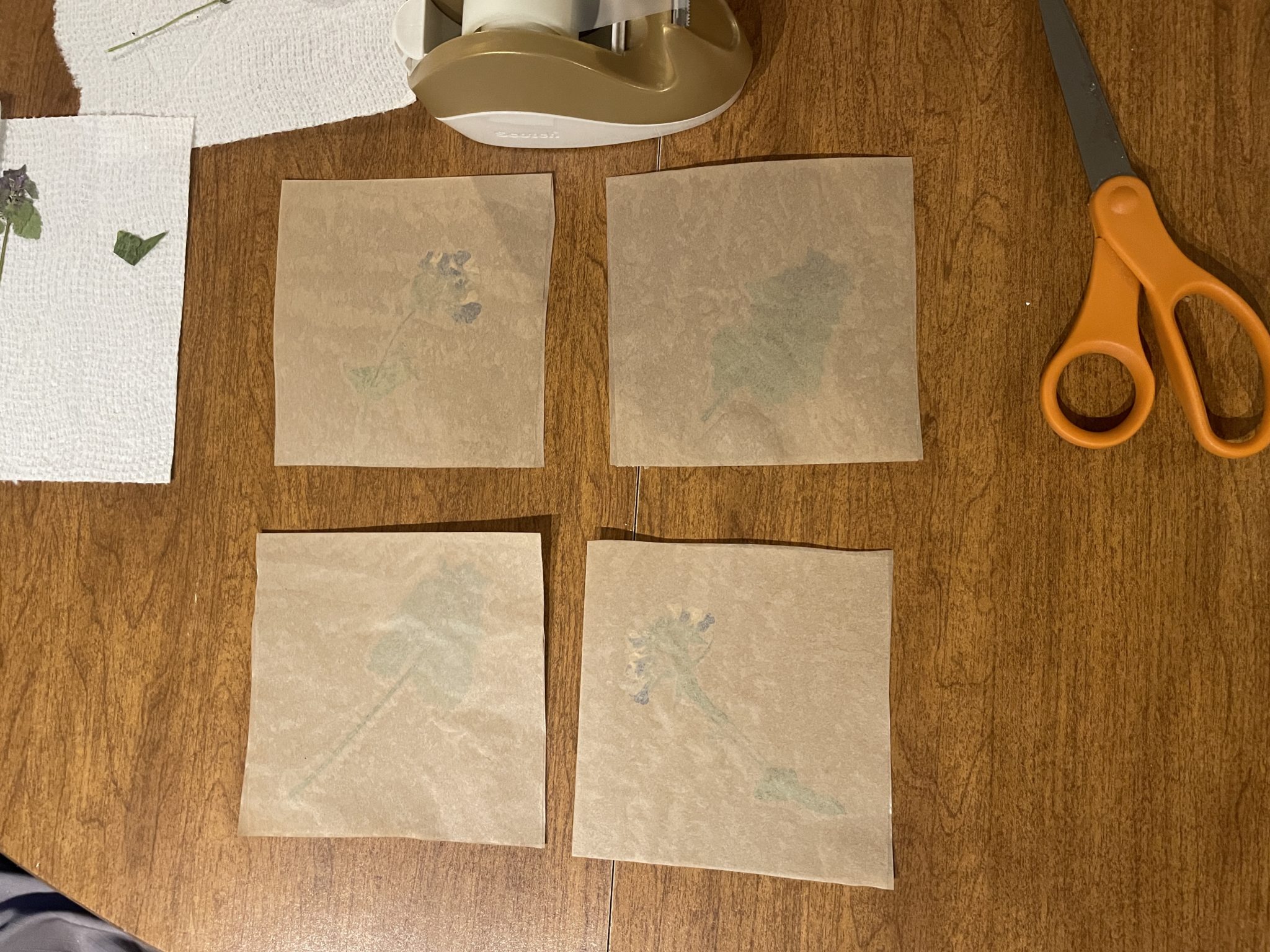 Photo of four squares of fused waxed paper laid out on a table.