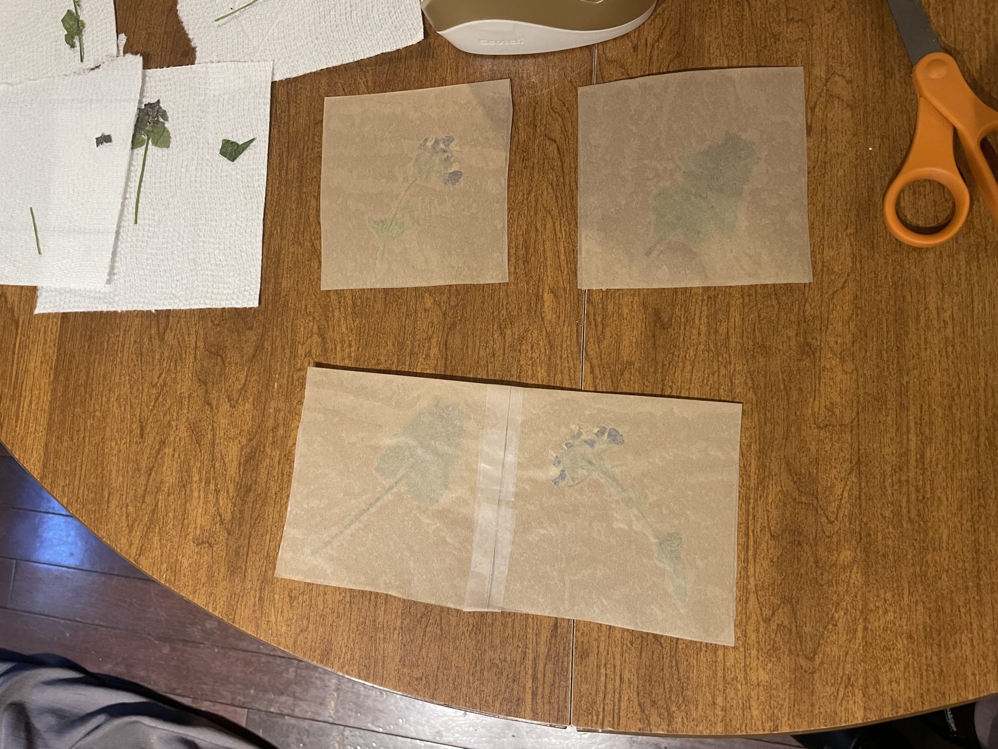 Photo of four squares of fused waxed paper laid out on a table. The bottom two pieces of waxed paper are taped together while the top two pieces are laid next to each other, about to be taped together.