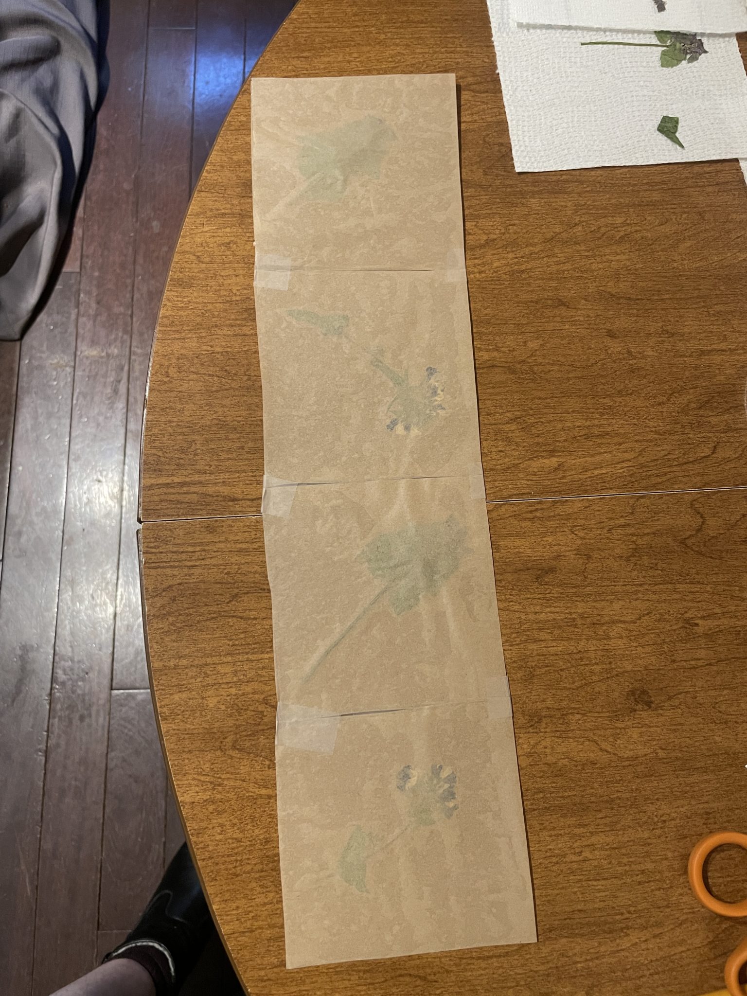 Photo of four squares of fused waxed paper laid out on a table and taped together in a long, skinny rectangle.