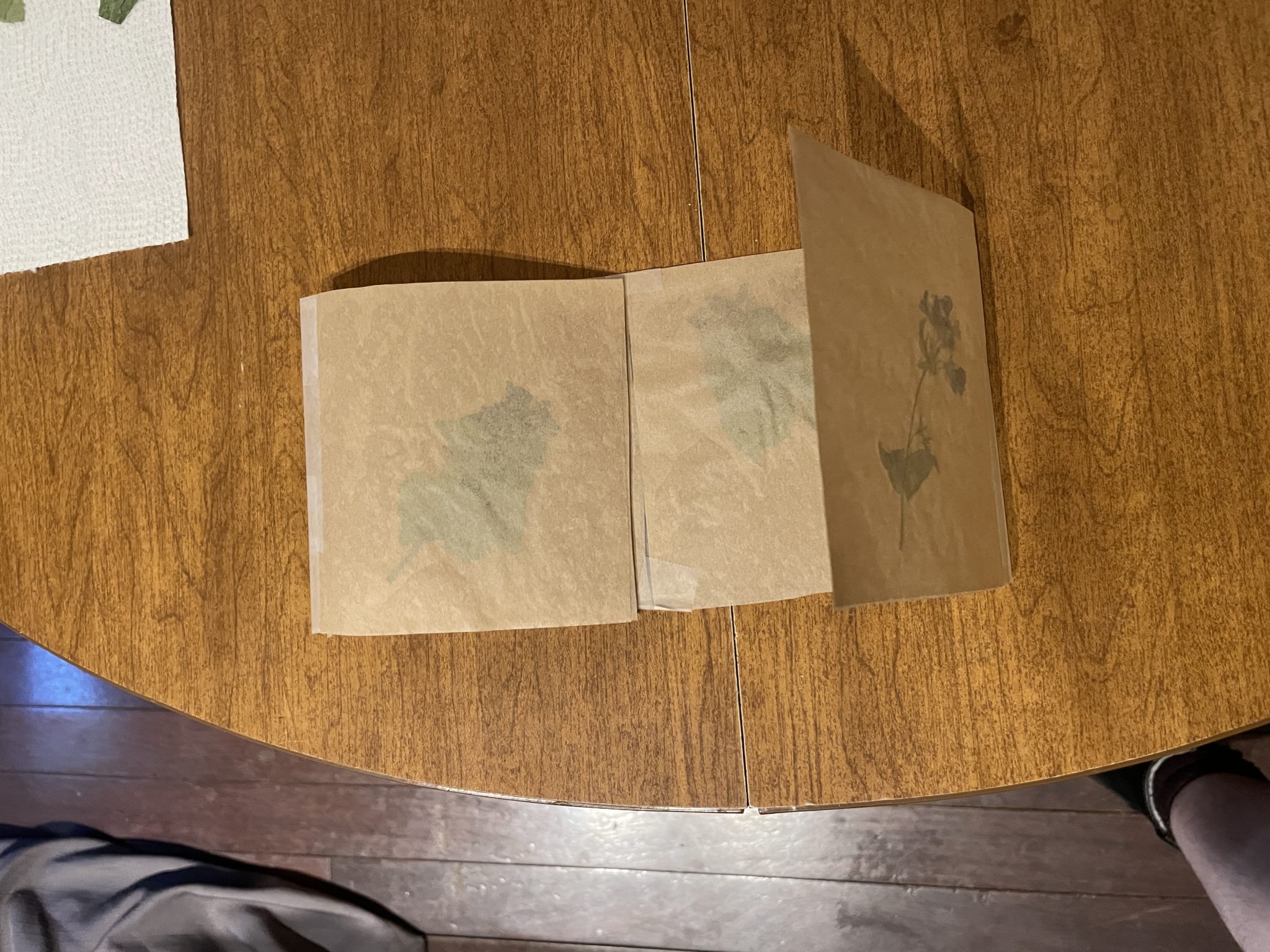 Photo of four squares of fused waxed paper laid out on a table and taped together in a long, skinny rectangle. The two outermost square panels of waxed paper are folded in towards the center of the rectangle.