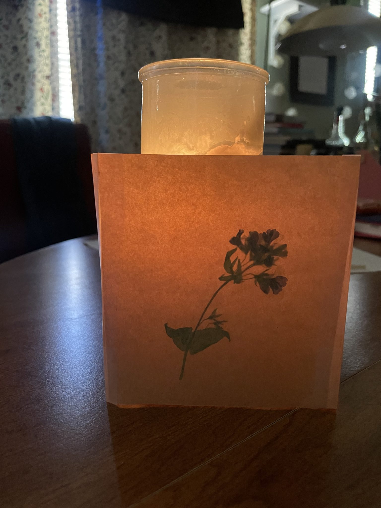 A tall, thin candle glows inside a luminaria or candle shade made of waxed paper and a pressed Blue-Eyed Mary bloom, an early spring wildflower.