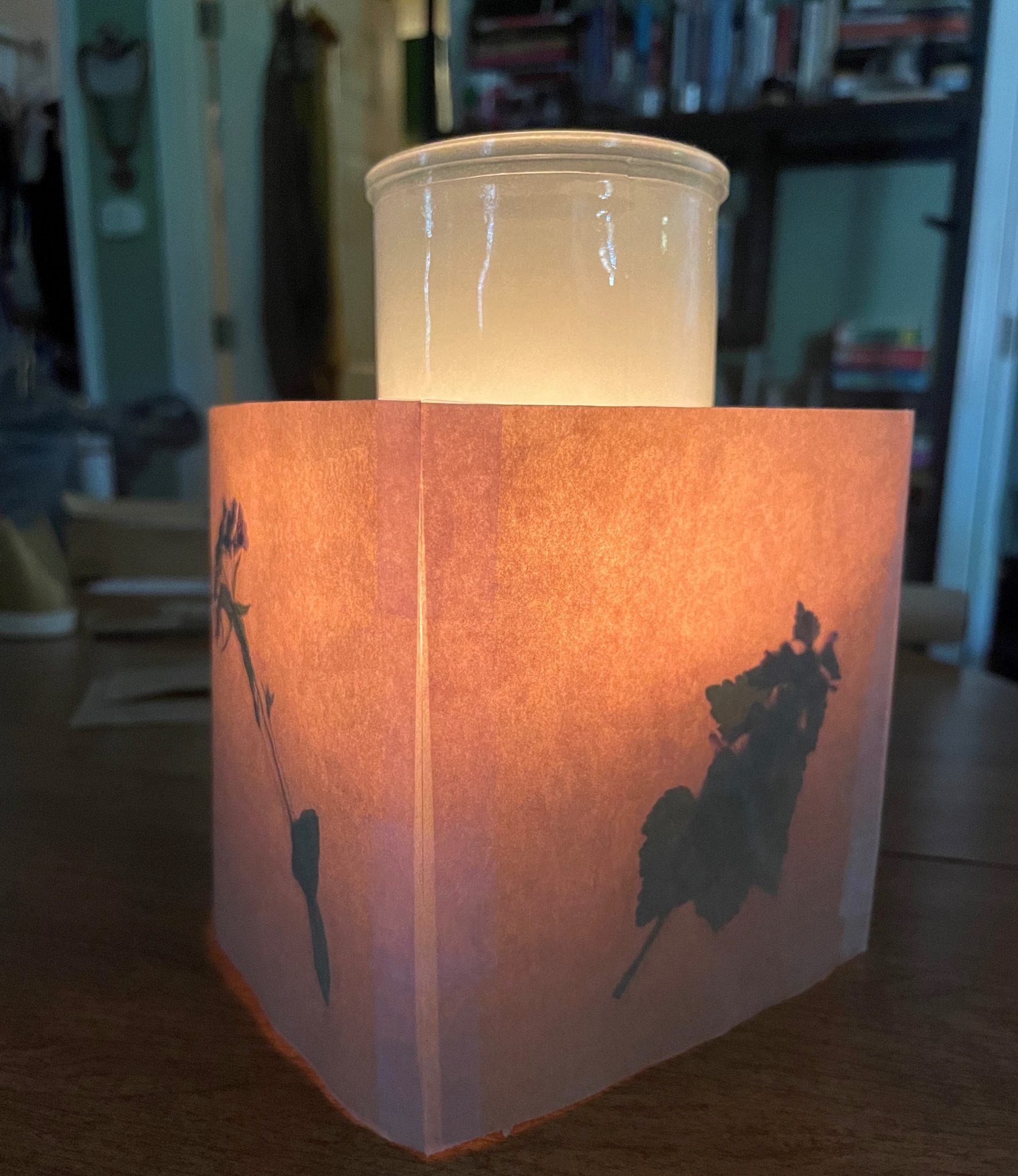 DIY Luminaria / Candle Shades 🕯️ Daniel Boone Regional Library