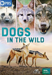 Dogs in the Wild DVD cover