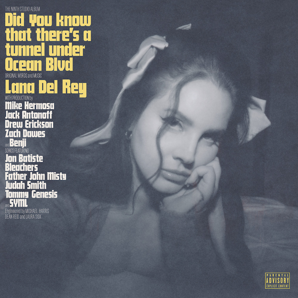 Did You Know That There's a Tunnel Under Ocean Blvd album cover.