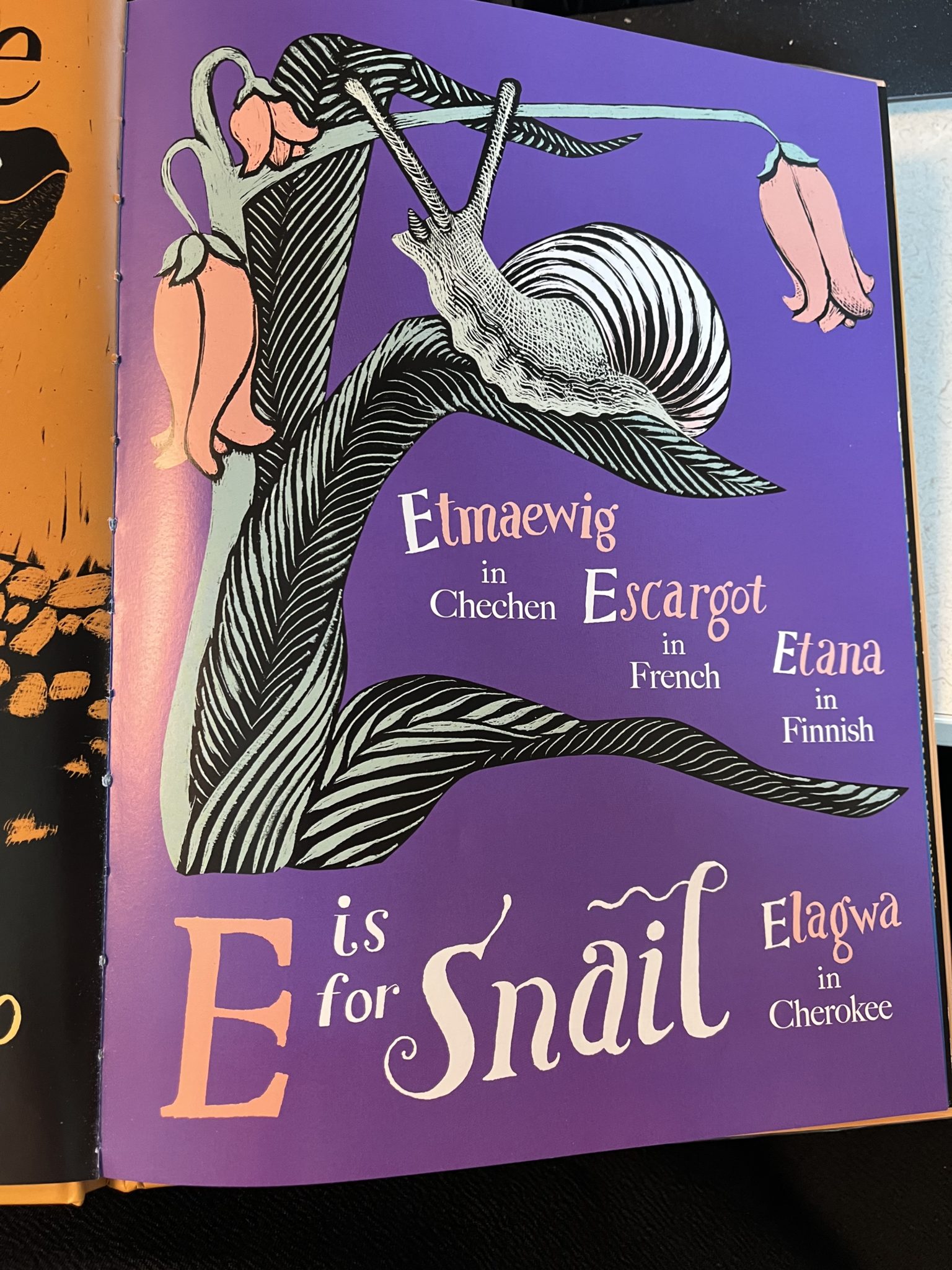Black and white drawing of a snail on a flower with the words "E is for Snail, Etmaewig in Chechen, Escargot in French, Etana in Finnish, Elagwa in Cherokee"