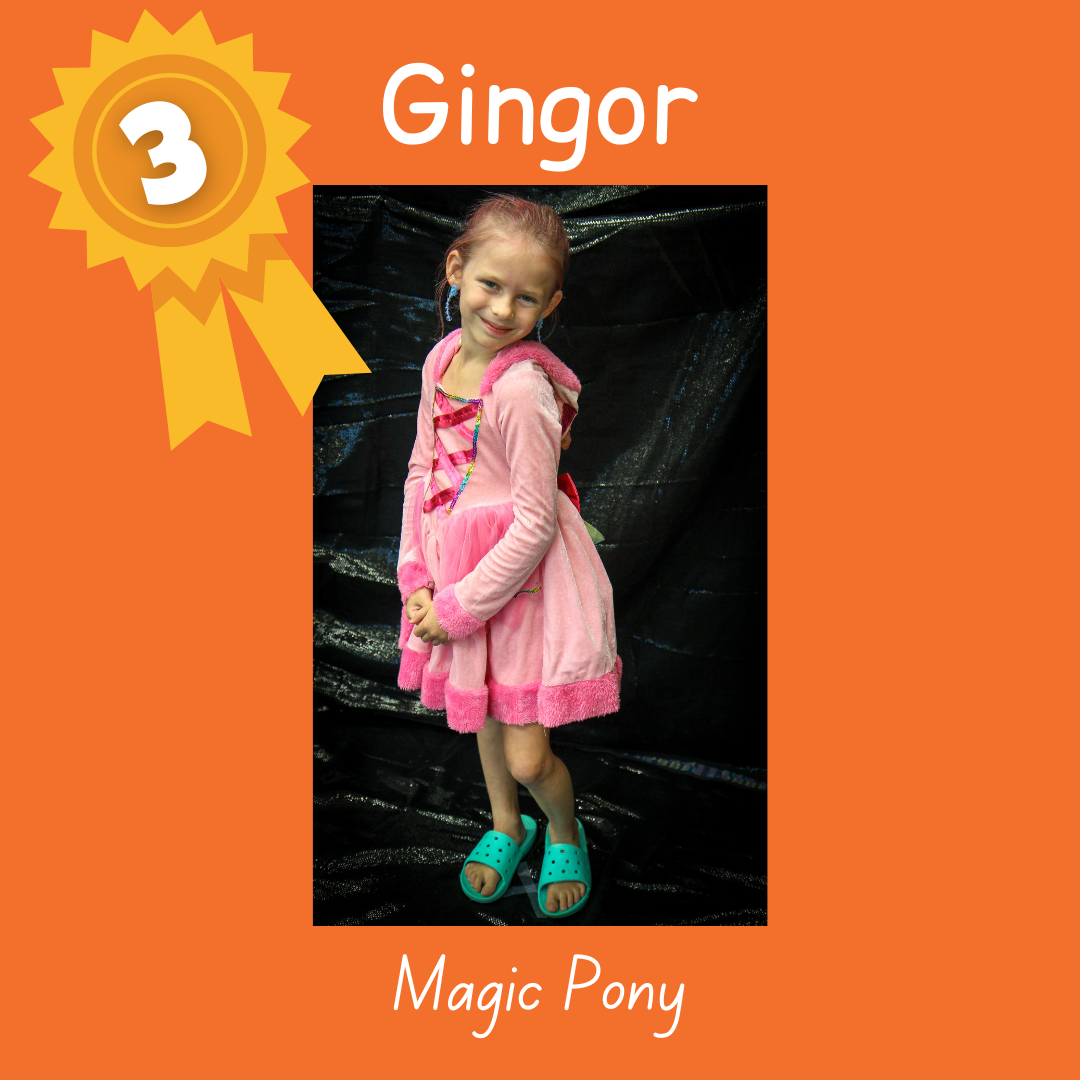 3rd place Gingor as magic pony. Photo of a child in a pink dress with a fur trimmed hood with horse ears.