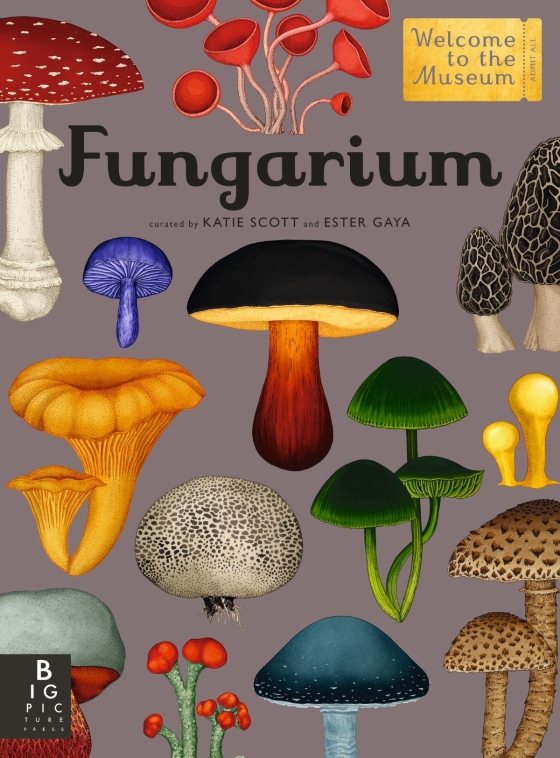 Cover for the juvenile nonfiction book, "Fungarium," featuring 2D illustrations of various mushrooms (the fruiting bodies of various fungi). 