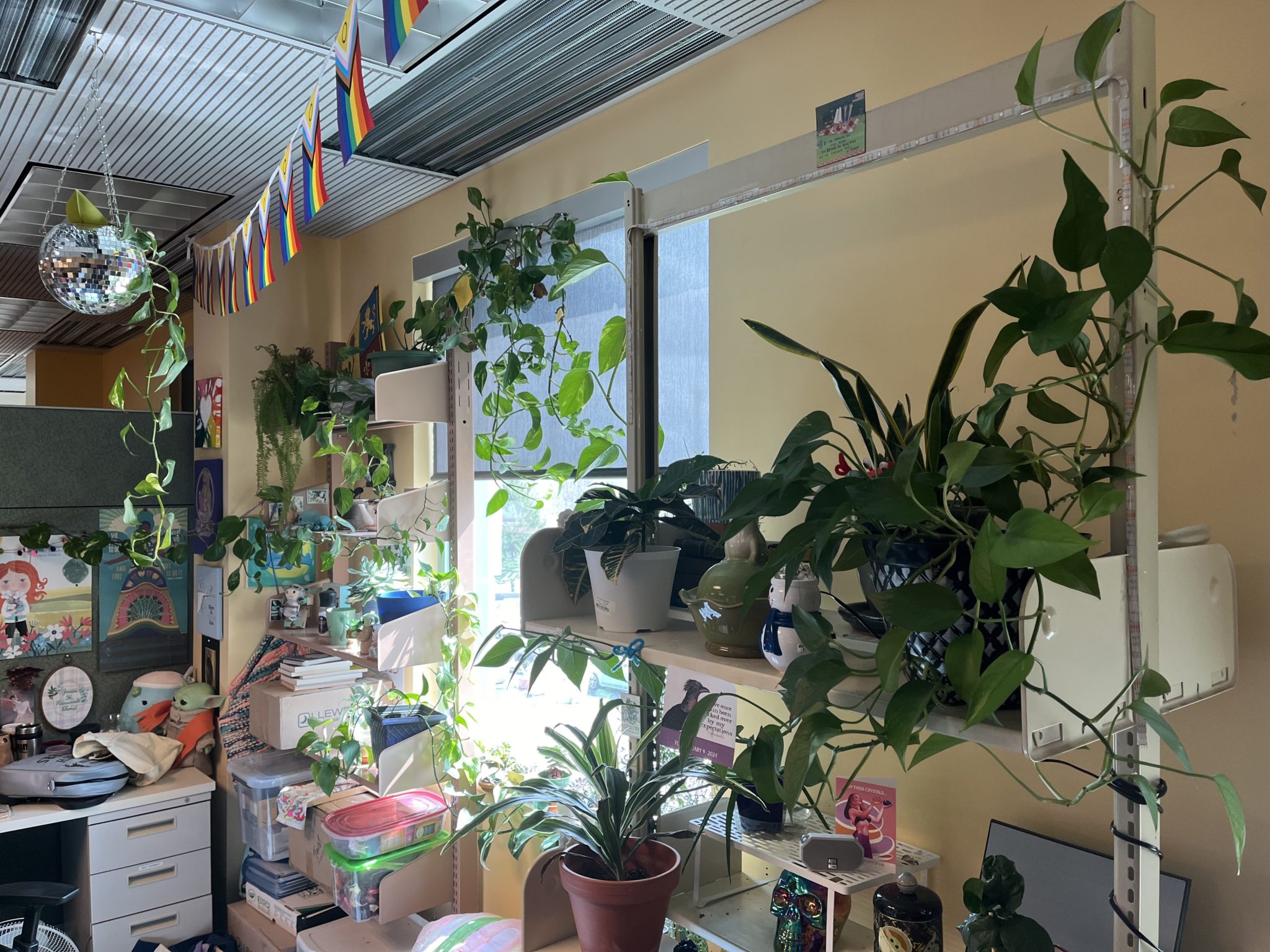 Image of cubicle space covered in plants.