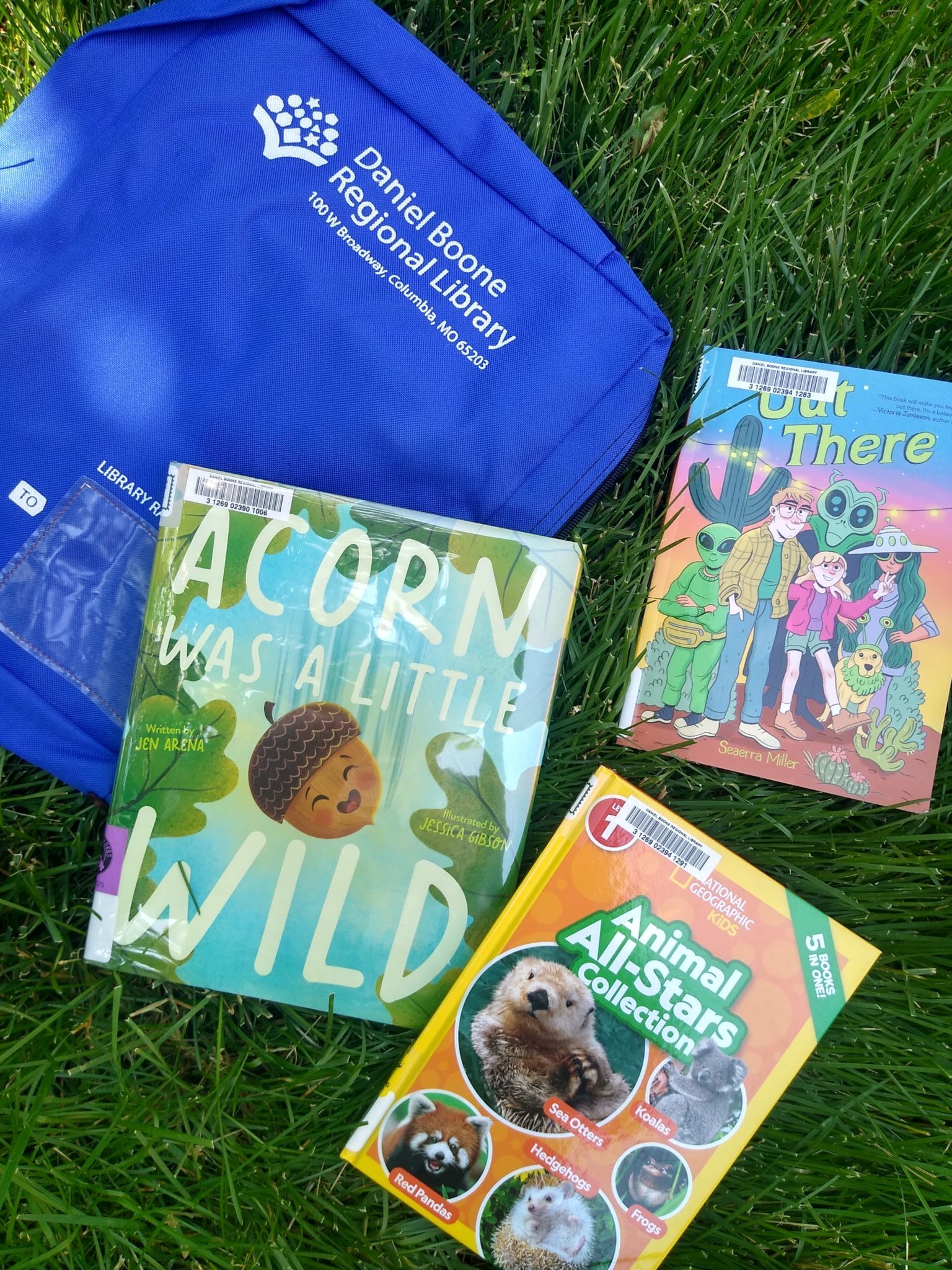Photo of books by snail mailing bag with books