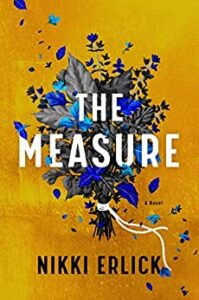The Measure book cover