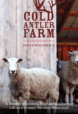 A sheep looks out at you, standing in front of an open barn door.