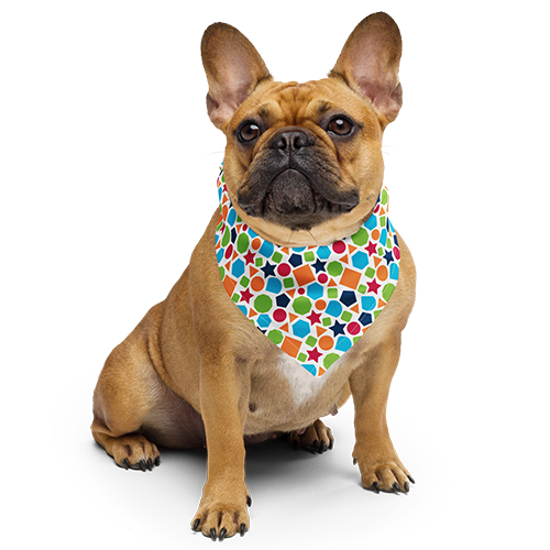 Store: DBRL print bandana worn by a cute dog