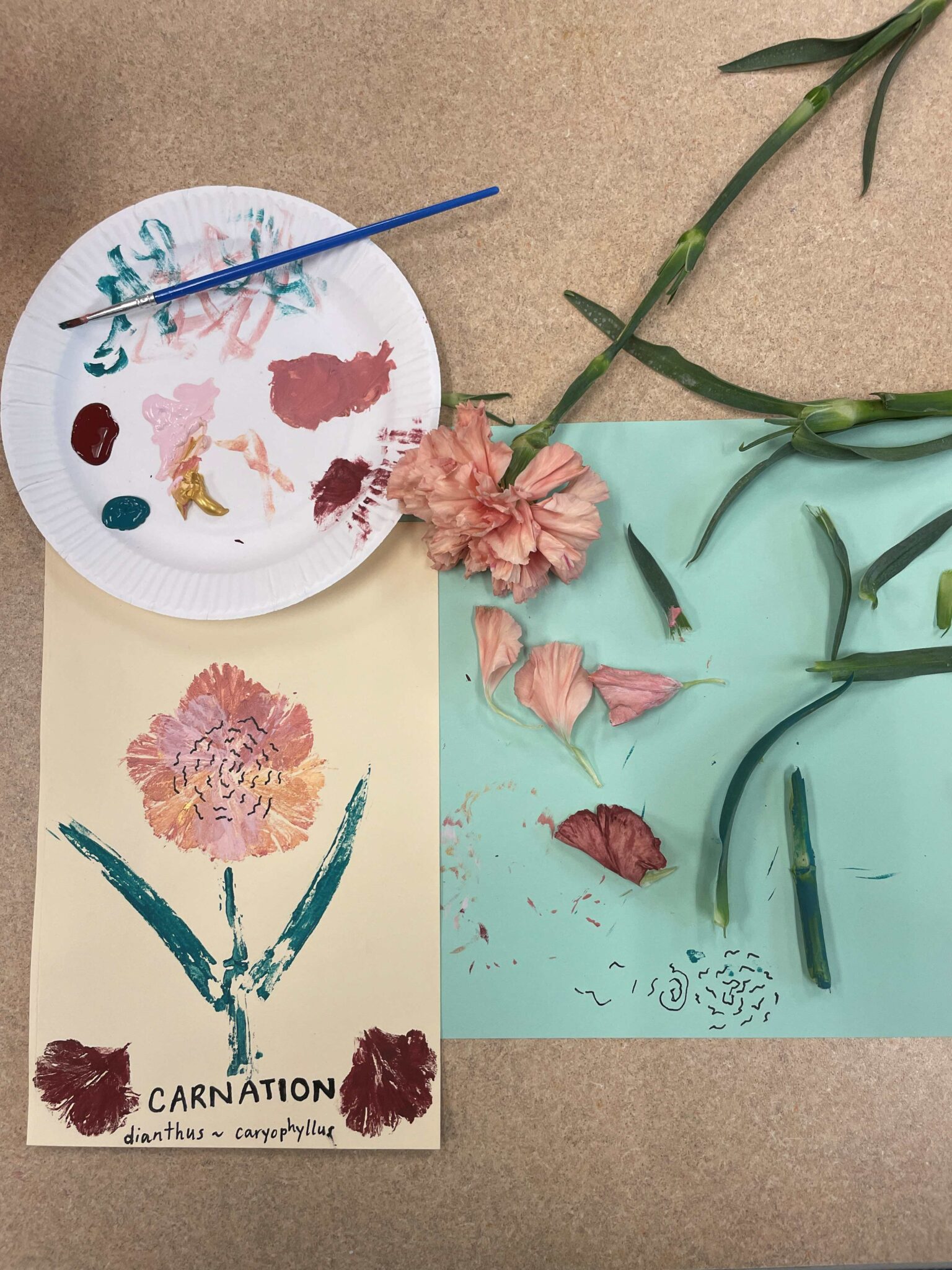 Photo showing the supplies and product of a nature printing session, featuring (clockwise from top left) a paper plate palette with dark red, dark blue green, light pink and gold pant blobs + a thin blue paint brush; a light pink carnation flower with some pink petals and green leaves detached from its head and stem and scattered onto a piece of green paper (which I used as a placemat); a nature print of the carnation flower on a cream-colored piece of cardstock: the flower petals of the print are rose pink and gold; the stem is printed in the dark blue green shade; in the bottom left and right corners of the cardstock are two carnation petals printed in the dark red shade; at the bottom of the cardstock are the words "CARNATION" and "dianthus ~ caryophyllus" written in black sharpie. 