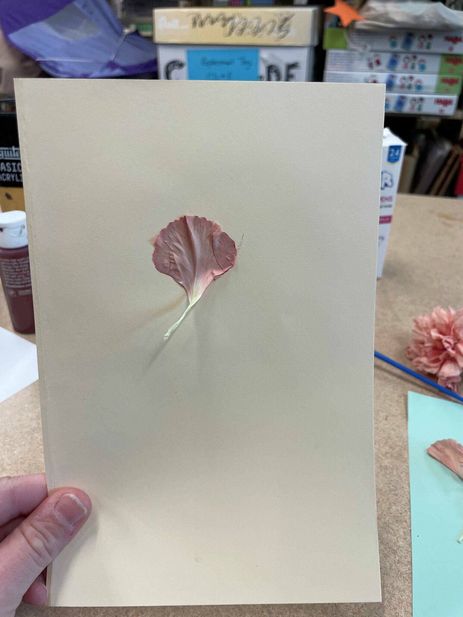 A rectangular piece of cream cardstock with a light pink carnation petal stuck to the top middle. 